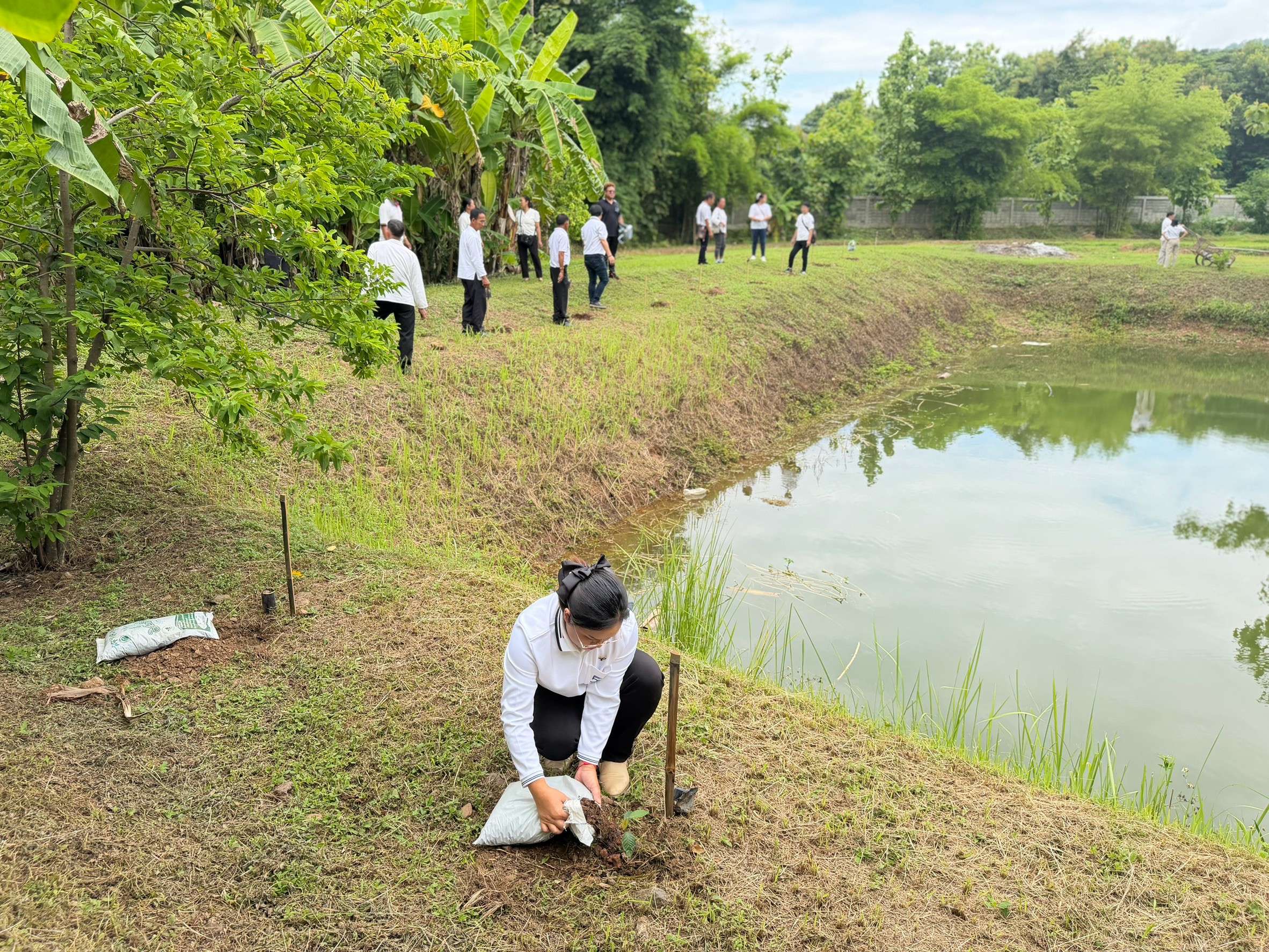 title - ส.ป.ก.แพร่ จัดโครงการ ปลูกเพื่อเปลี่ยน เปลี่ยนเพื่อยั่งยืน  เทิดไท้องค์ทศมราชา เพื่อเพิ่มพื้นที่สีเขียวในเขตปฏิรูปที่ดิน